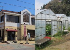 たびだちの村・ふれあい通り